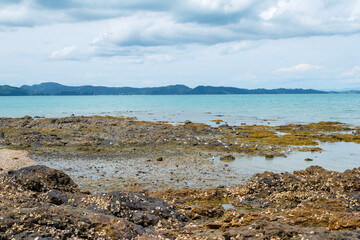 Panoramic View of Maraetai Beach Auckland, New Zealand; Rocky Parts of the Beach during Low Tide