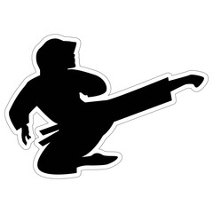 Girl Martial Art Silhouette