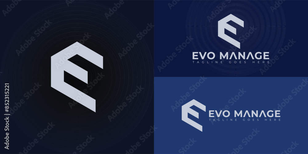 Poster abstract initial letters hexagon ev or ve logo in blue-white color isolated on multiple background c