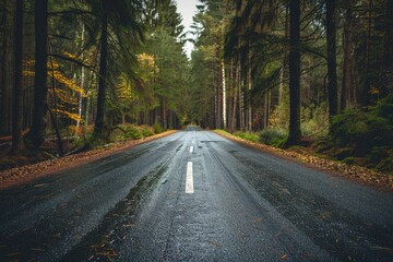 Fototapeta premium Gray Concrete Road Across Brown Valley During Daytime