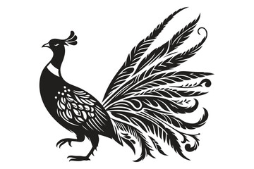 Peacock silhouette vector illustration.