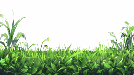 green grass border, png, transparent background, Ai generated Images