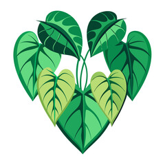 Heart-shaped leaves