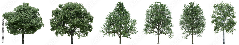 Poster collection of realistic large woods trees with isolated on transparent background. png file, 3d rend