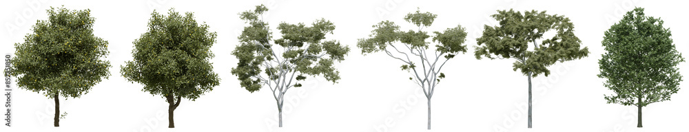 Poster collection of realistic large woods trees with isolated on transparent background. png file, 3d rend