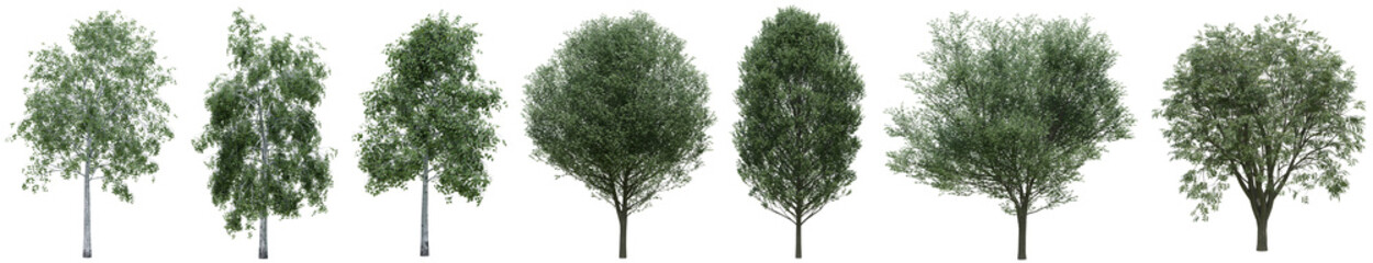 Collection of realistic large woods trees with isolated on transparent background. PNG file, 3D rendering illustration, Clip art and cut out