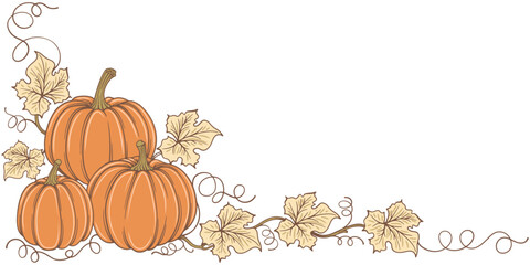 Pumpkin vector illustration	