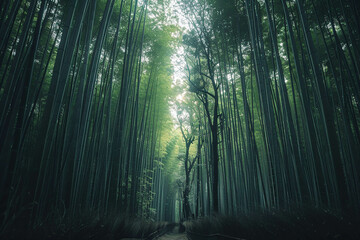 Fototapeta premium photo of japanese bamboo forest, green color palette, tree in the middle of thick dense bamboo grove, tall trees with very long leaves, natural light, shot on Sony Alpha A7 III camera
