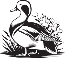Duck vector image