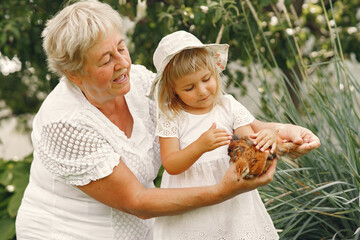 Grandmother with grandaughter are playing with chickens outdoors