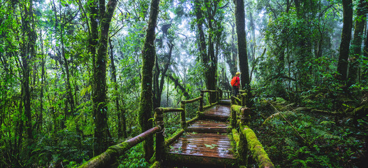 Asian women travel relax Nature Study in the Jungle at Chiangmai in Thailand.