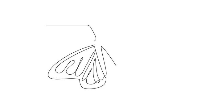 Animated self drawing of 
Butterflies are flying and will land on flowers video design illustration. Animal themes design concept in simple linear style. Beautiful animal with variance body colors.