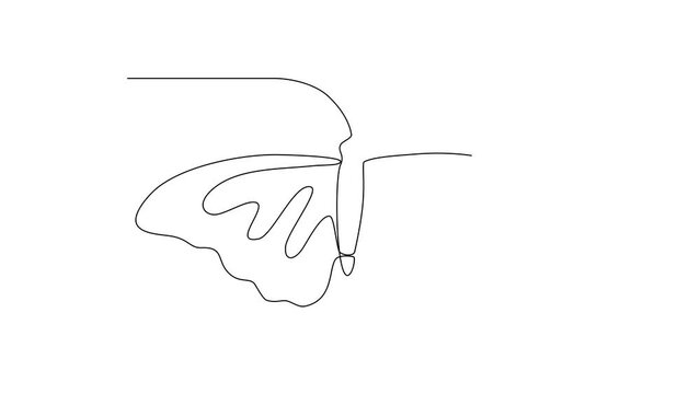 Animated self drawing of 
Butterflies are flying and will land on flowers video design illustration. Animal themes design concept in simple linear style. Beautiful animal with variance body colors.