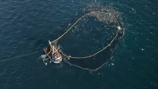 A ship fishing in the sea
