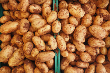 Close up of slice of raw potato in a bowl 