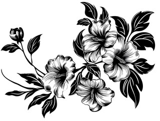 Obraz premium black and white flowers
