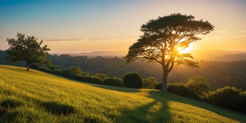Fototapeta premium Multiple trees on a textured landscape against a beautiful sunset, showing the interaction of light and shadows