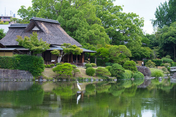 Obraz premium 熊本県の水前寺公園
