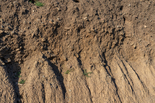 Palisades Park, Santa Monica, Los Angeles, California. Marine Terraces and Eroded Cliffs, alluvial fan deposits of consolidated silt, sand and gravel. California State Route 1 / Pacific Coast Highway