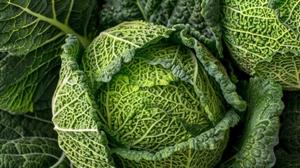 Fototapeta premium Fresh organic savoy cabbage closeup with detailed texture