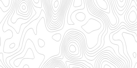 White wave paper curved reliefs abstract background. The topographic map contour in lines isolated. Abstract white topographic map background with lines. Background of the topography map.