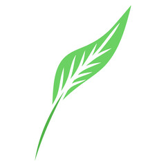 Obraz premium green plant leaf