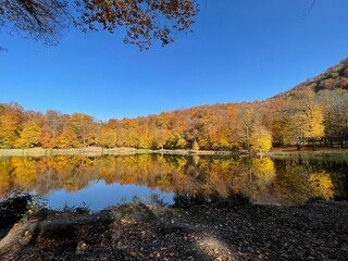 Golden Reflections: Autumn Tranquility at an Armenian Lake