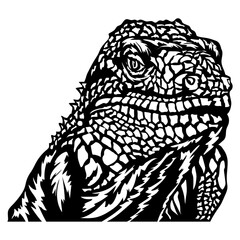Iguana