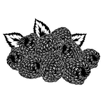Raspberry