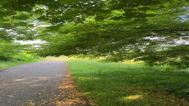 passeggiata nel parco