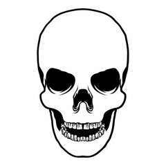 Obraz premium Skull