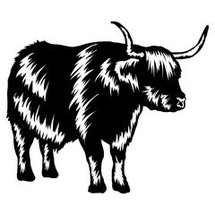 Yak