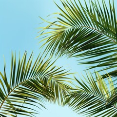 Fototapeta premium Large green palm leaves on a blue sky background. Summer background. The concept of travel, tourism, and recreation.
