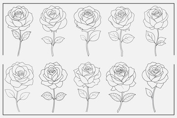 rose outline set flower vector illustration