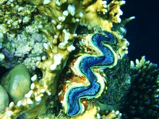 Landscape is a genre of fine art (as well as individual works of this genre), in which the main subject of the image is pristine nature or, to one degree or another, transformed by man. Modern ideas a