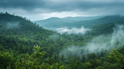 Expansive woodlands gentle slopes beneath a cloudy sky breathtaking views