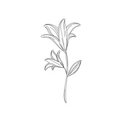 simple floral vintage logo vector illustration