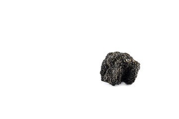 black truffle isolated on white. Free space.