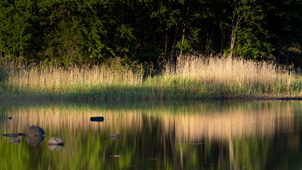 Fototapeta premium Landscape in early morning light with calm water, rocks and reeds reflecting in water at sunrise