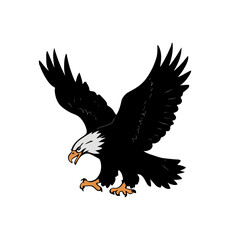 Eagle Silhouette Vector Illustration White Background