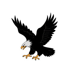 Eagle Silhouette Vector Illustration White Background