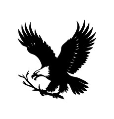 Eagle Silhouette Vector Illustration White Background