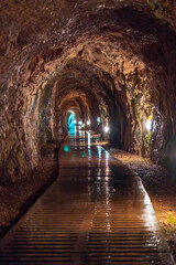 A long tunnel with a wet floor