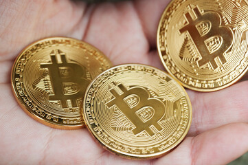  female hand holds three coins on the nature blur background. Panorama