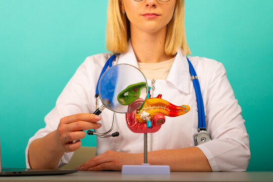 Male doctor showing a anatomical model of pancreas using magnifying glass. Early diagnosis and treatment.