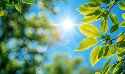 Obraz premium Amazing nature view of green leaf on blur greenery background in garden and sunlight with copy space