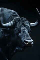 Naklejka premium A close up of a black bull