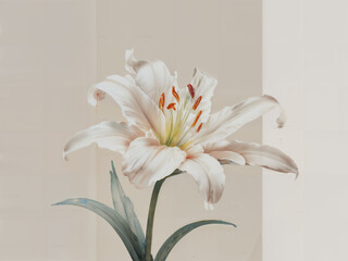Elegant White Lily Flower on Minimalist Background
Minimalist Pastel Lily Flower Bloom Pastel Beautiful White Lily Blossom