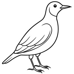 Hand Drawn Lark Bird Outline Illustration - Cute and Detailed Graphic Design.