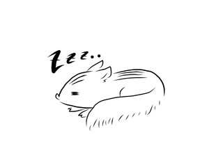 寝ているシマリス